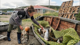 сбыть или не сбыть. В какие страны теперь экспортируют мурманскую рыбу - фото - 1