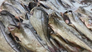 назван победитель конкурса на участие в международной выставке с индивидуальным стендом - фото - 2