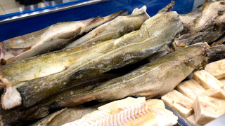 возможности поставок рыбы и морепродуктов из Мурманской области на рынок Нигерии - фото - 1