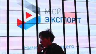 предлагаем оформить ветеринарный сертификат на платформе «Мой экспорт» - фото - 1
