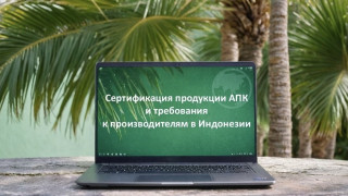 предприятиям Мурманской области расскажут о перспективах сотрудничества с Индонезией - фото - 1