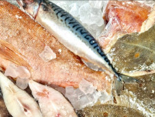государство компенсирует производителям продукции АПК затраты на транспортировку - фото - 1