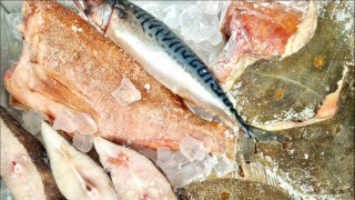 государство компенсирует производителям продукции АПК затраты на транспортировку - фото - 1