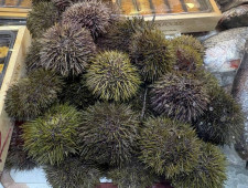 не пропустите вебинар по компенсации затрат на транспортировку товаров АПК - фото - 1