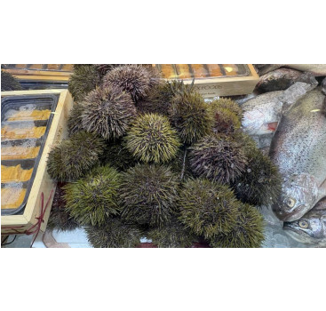 не пропустите вебинар по компенсации затрат на транспортировку товаров АПК - фото - 1