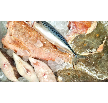 анонсируем сбор заявок на компенсацию затрат по транспортировке промышленных товаров и товаров АПК - фото - 1