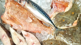 объявляем сбор заявок на участие в международной выставке Seafood Expo Russia 2026 с господдержкой - фото - 1