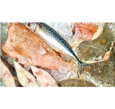 продолжается сбор заявок на участие в международной выставке Seafood Expo Russia 2026 с господдержкой - фото - 1