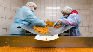 в Мурманске собираются создать музей варенья - фото - 1