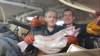 мурманская компания удивит США морскими деликатесами - фото - 1