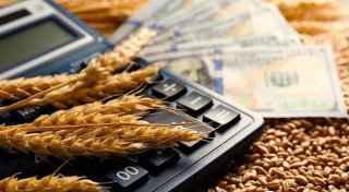 экспортеры могут компенсировать часть затрат на сертификацию продукции АПК - фото - 7