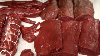 ловозерская оленина конкурирует с продукцией финских саами - фото - 1