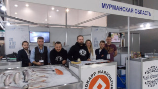 с выставки - на экспорт - фото - 1