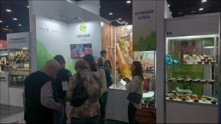 северные ягоды представят на международной выставке - фото - 1
