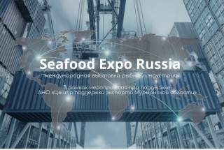 рыбопромышленники Мурмана примут участие в крупнейшей отраслевой выставке - фото - 1