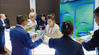 экспортеры Мурманской области работали на выставке China Fisheries and Seafood Expo 2023 - фото - 2